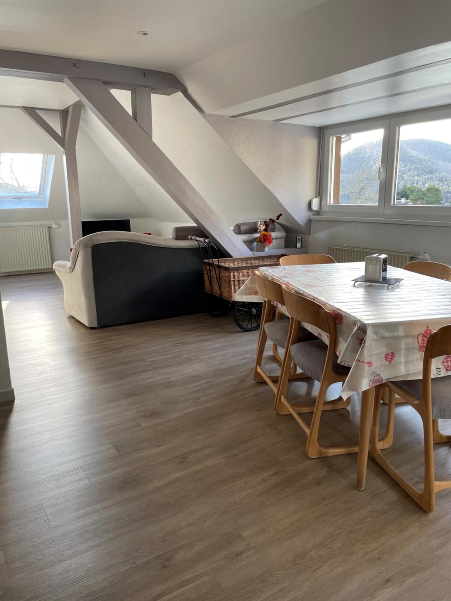 Gite Spacieux, Lumineux Et Tres Cosy Lautenbach Exterior foto